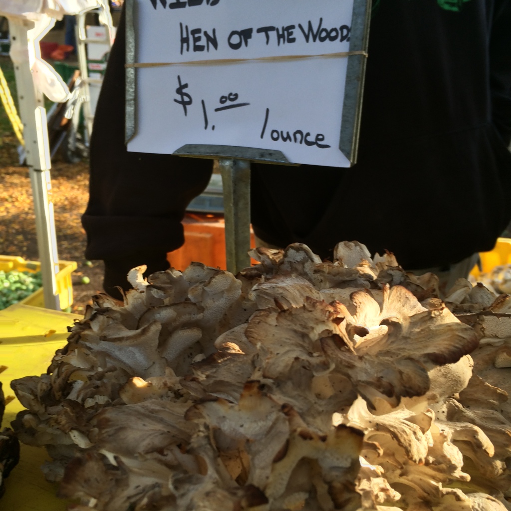 How to Cook Maitake or Hen of the Woods Mushrooms