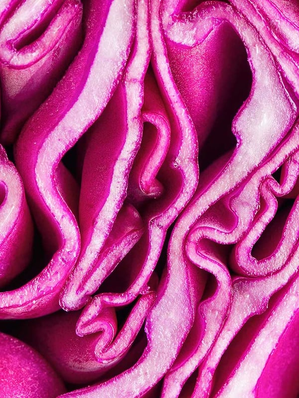 3x4-texture-red-cabbage