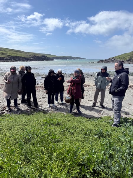 Foraging on beach