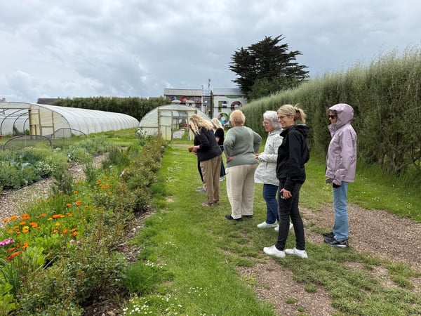 Garden tour