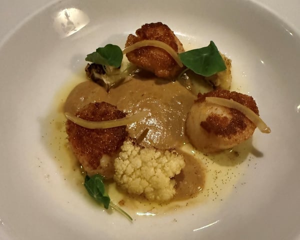 hugo scallops