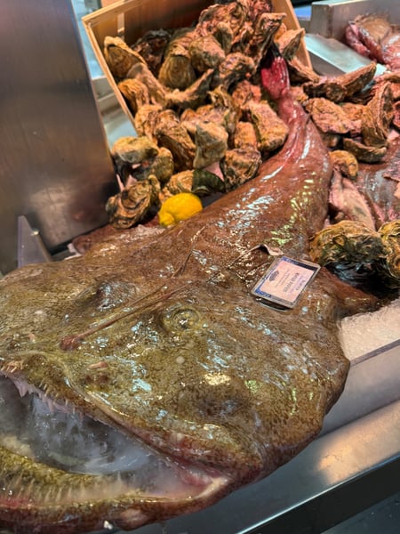 Monkfish