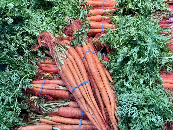 Carrots with tops