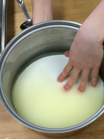 Cheese_Making