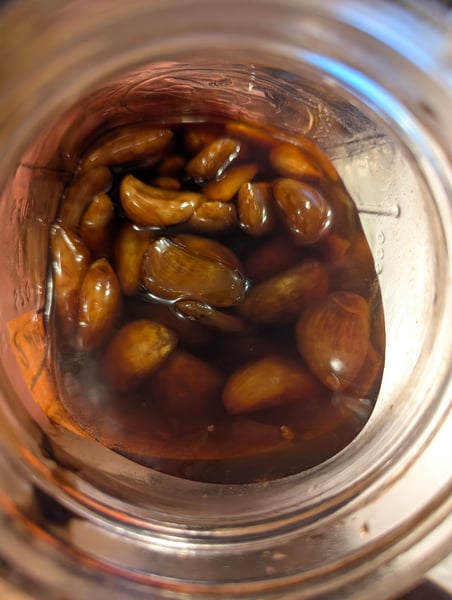 Honey fermented garlic