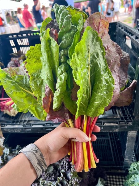 Swiss chard