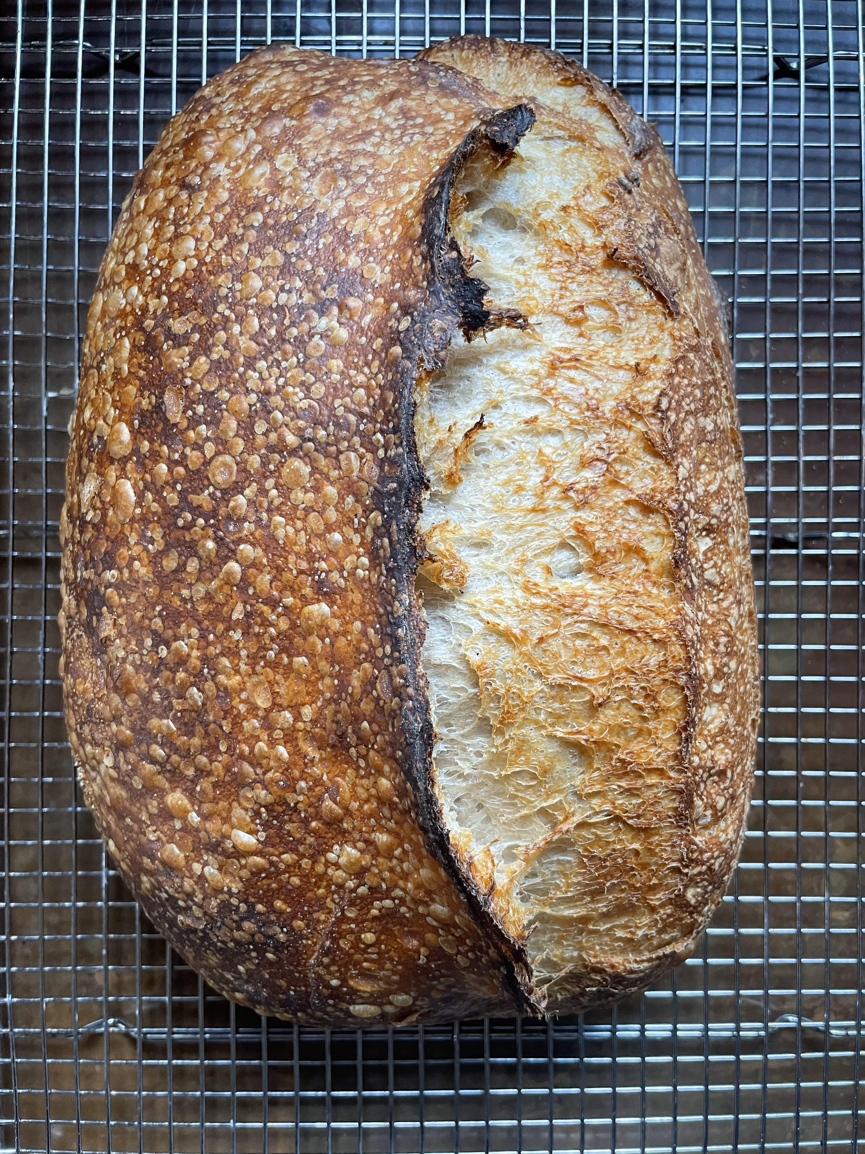 Sourdough