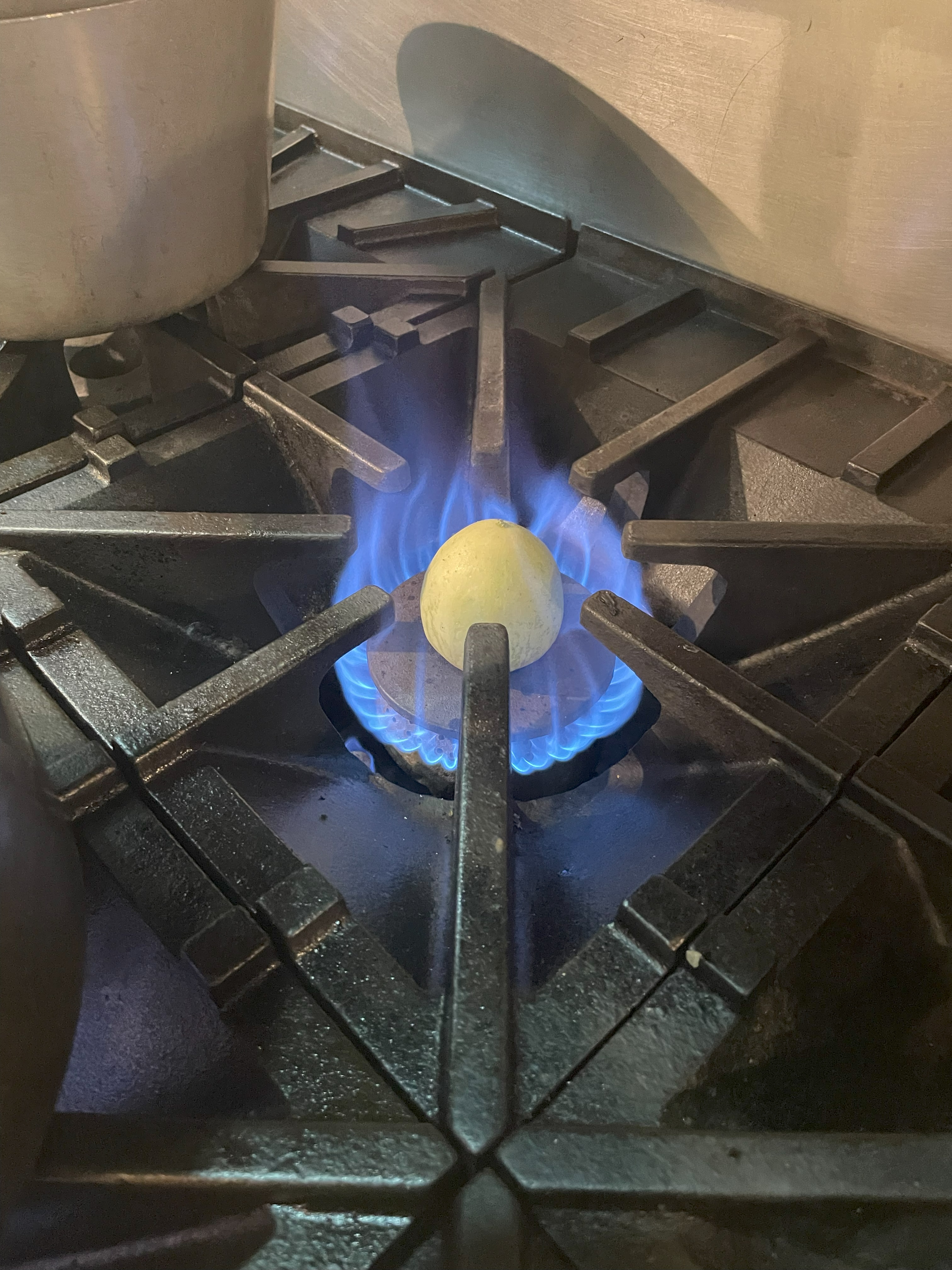 Hatching a dragon's egg