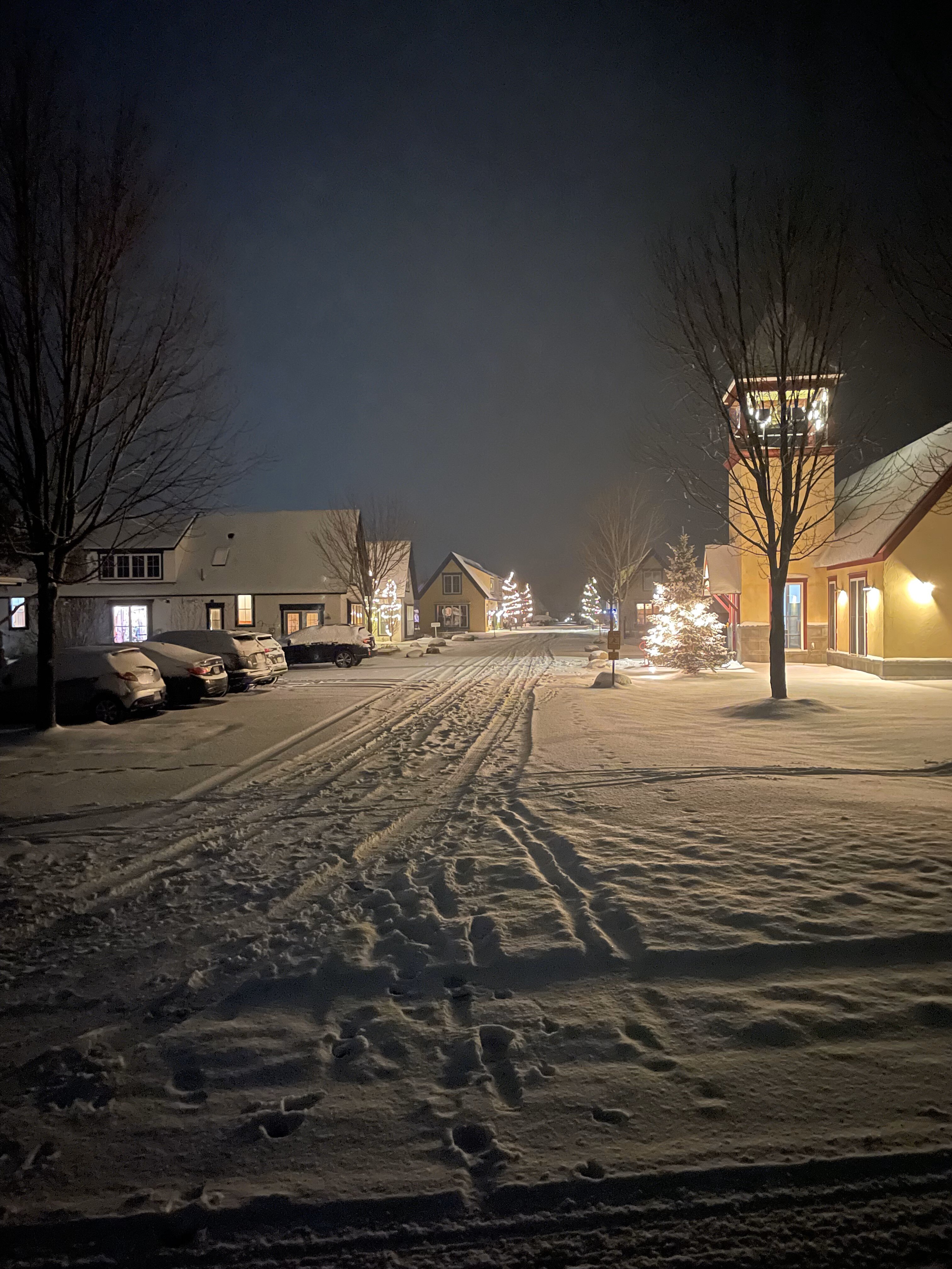 Year in review title image