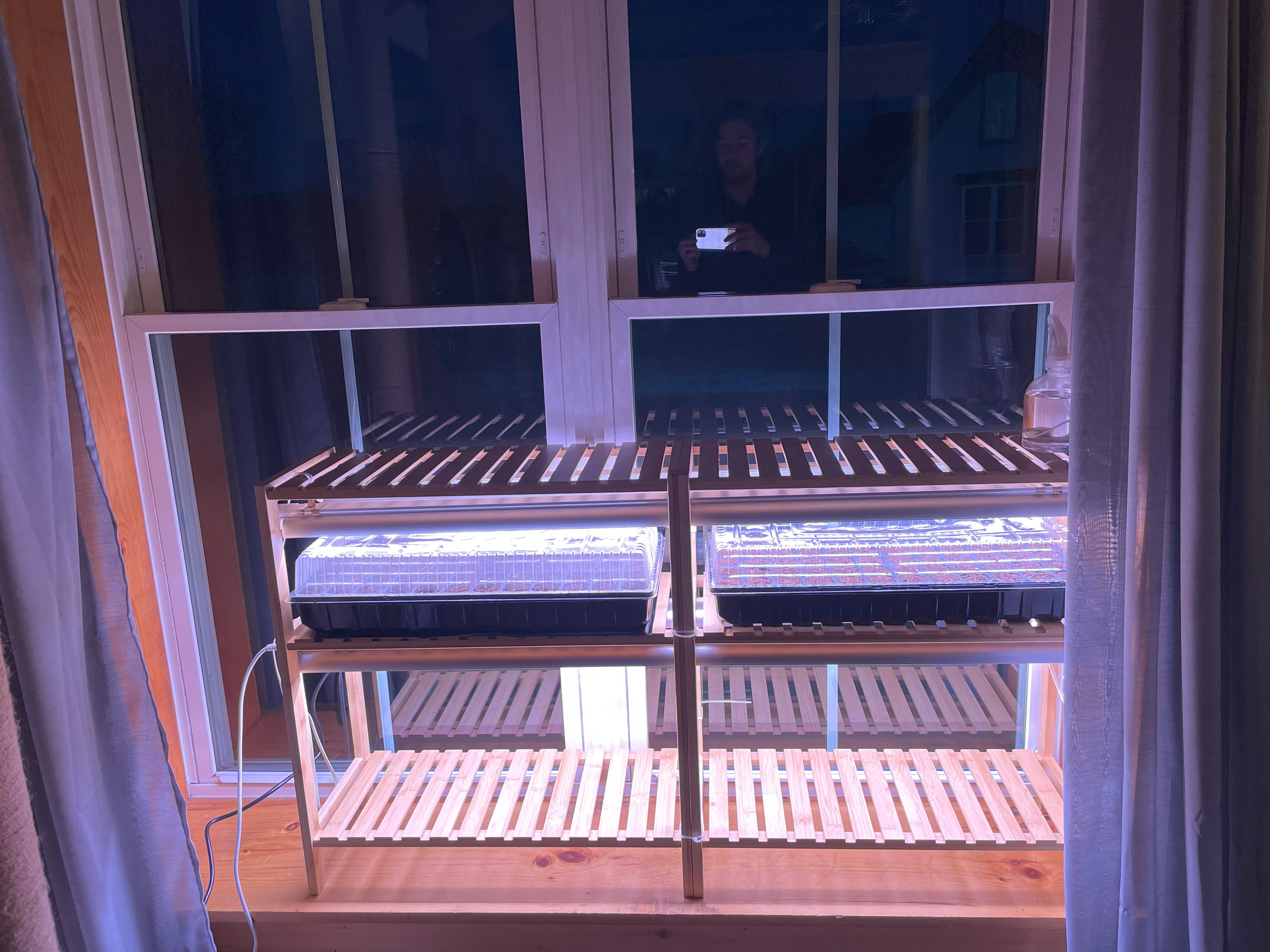 LED grow lights
