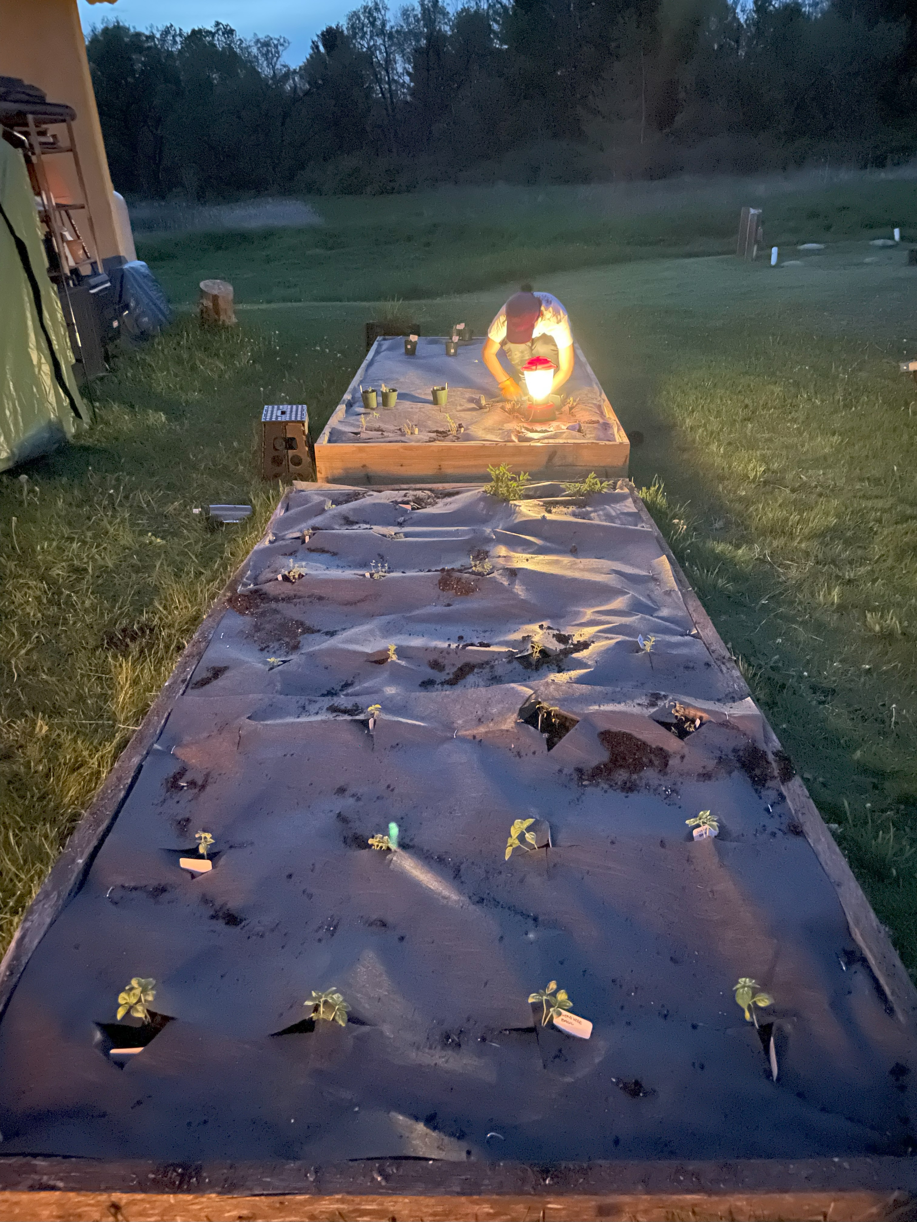 Planting in the dark