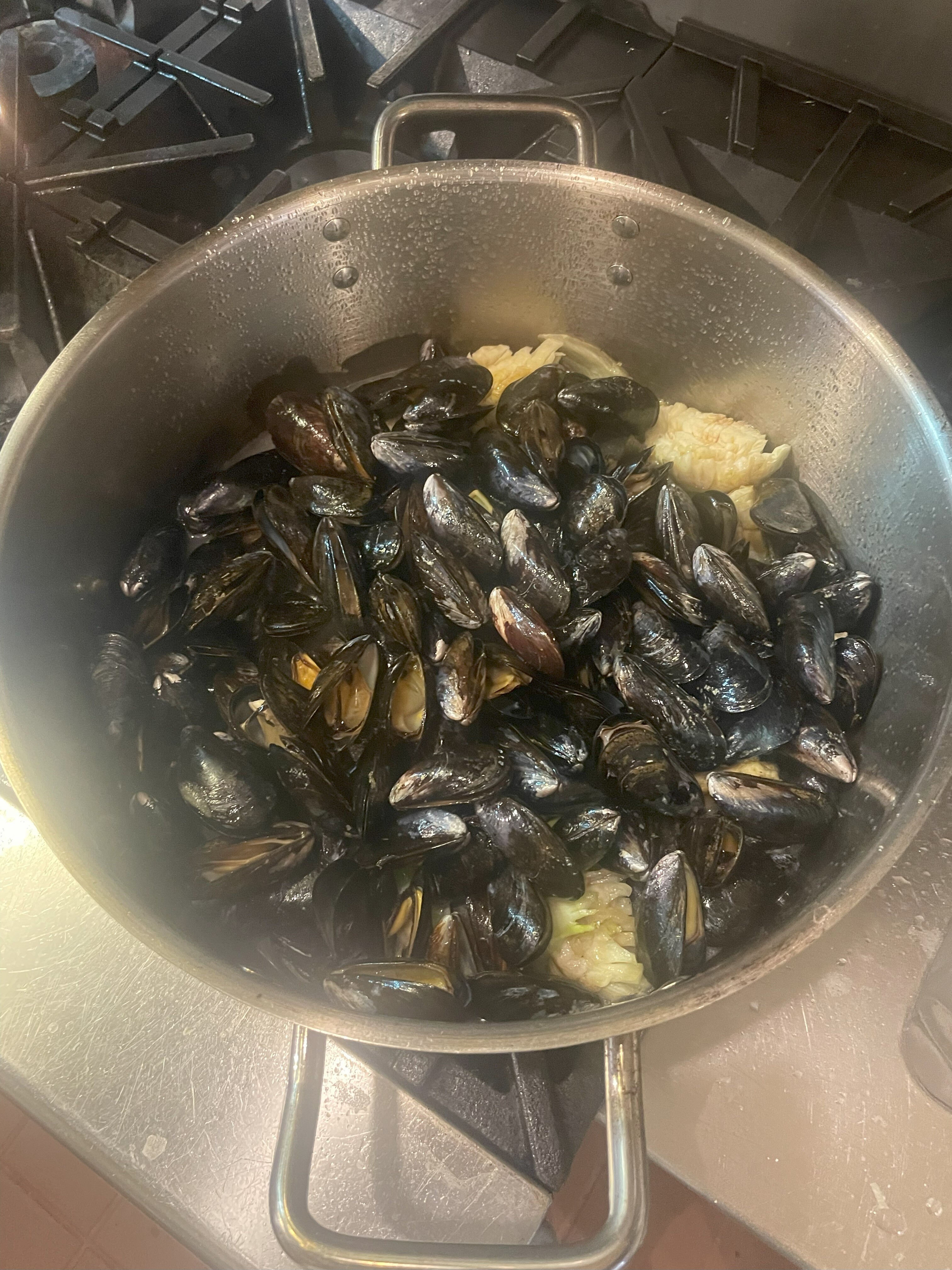 Mussels