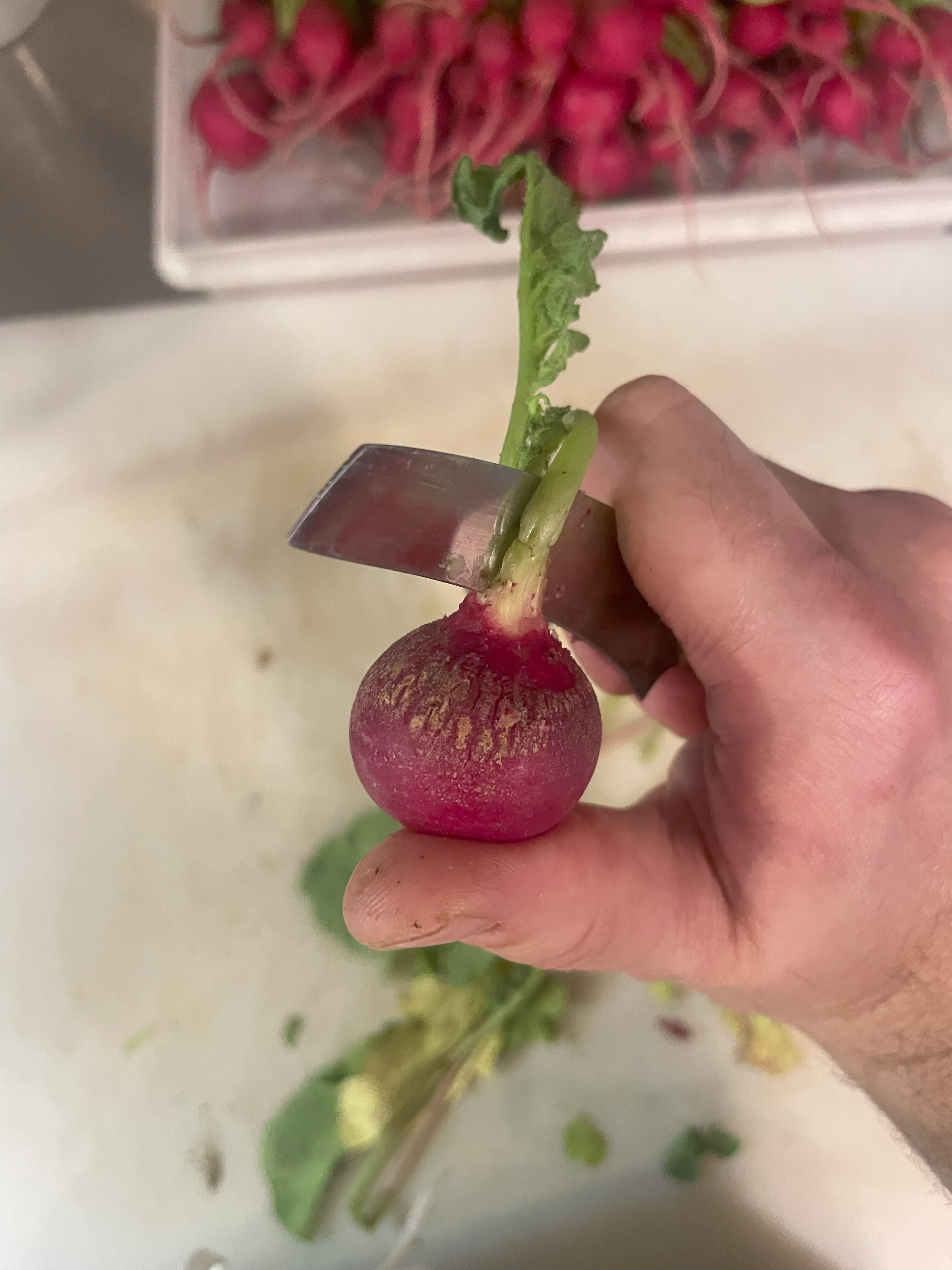 Prepping radishes