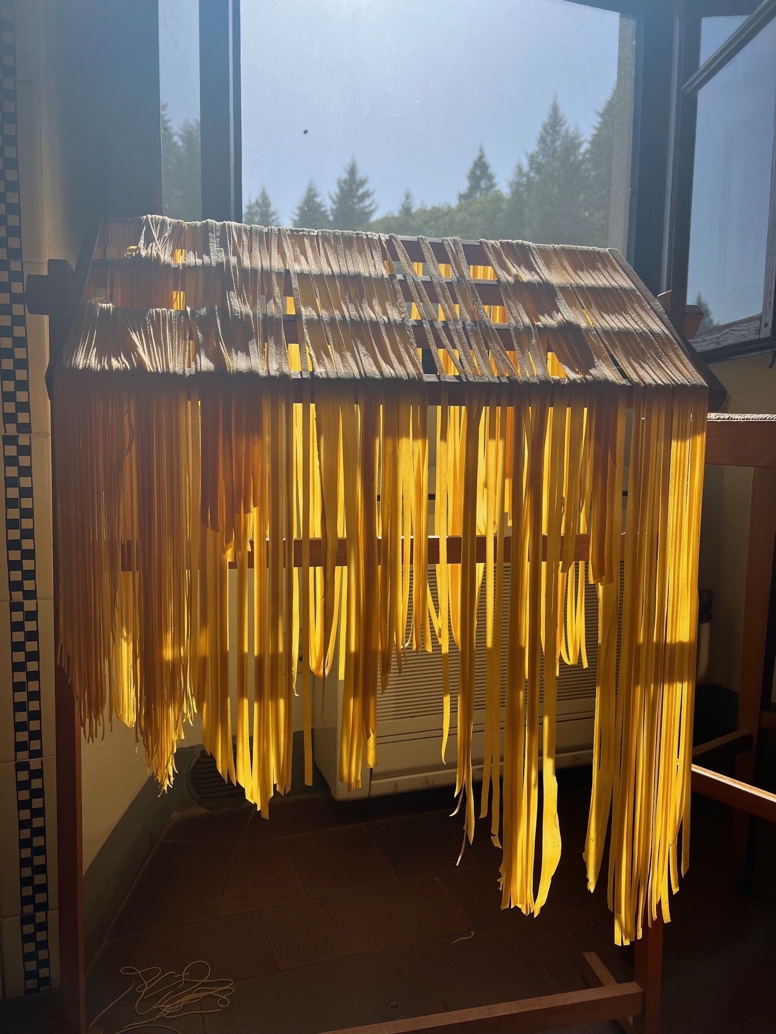 Pasta on drying rack