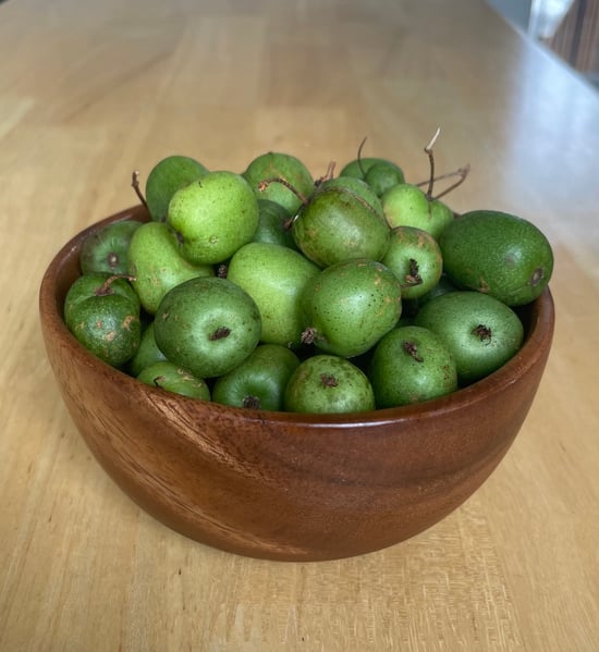 Consider the kiwi fruit, Food