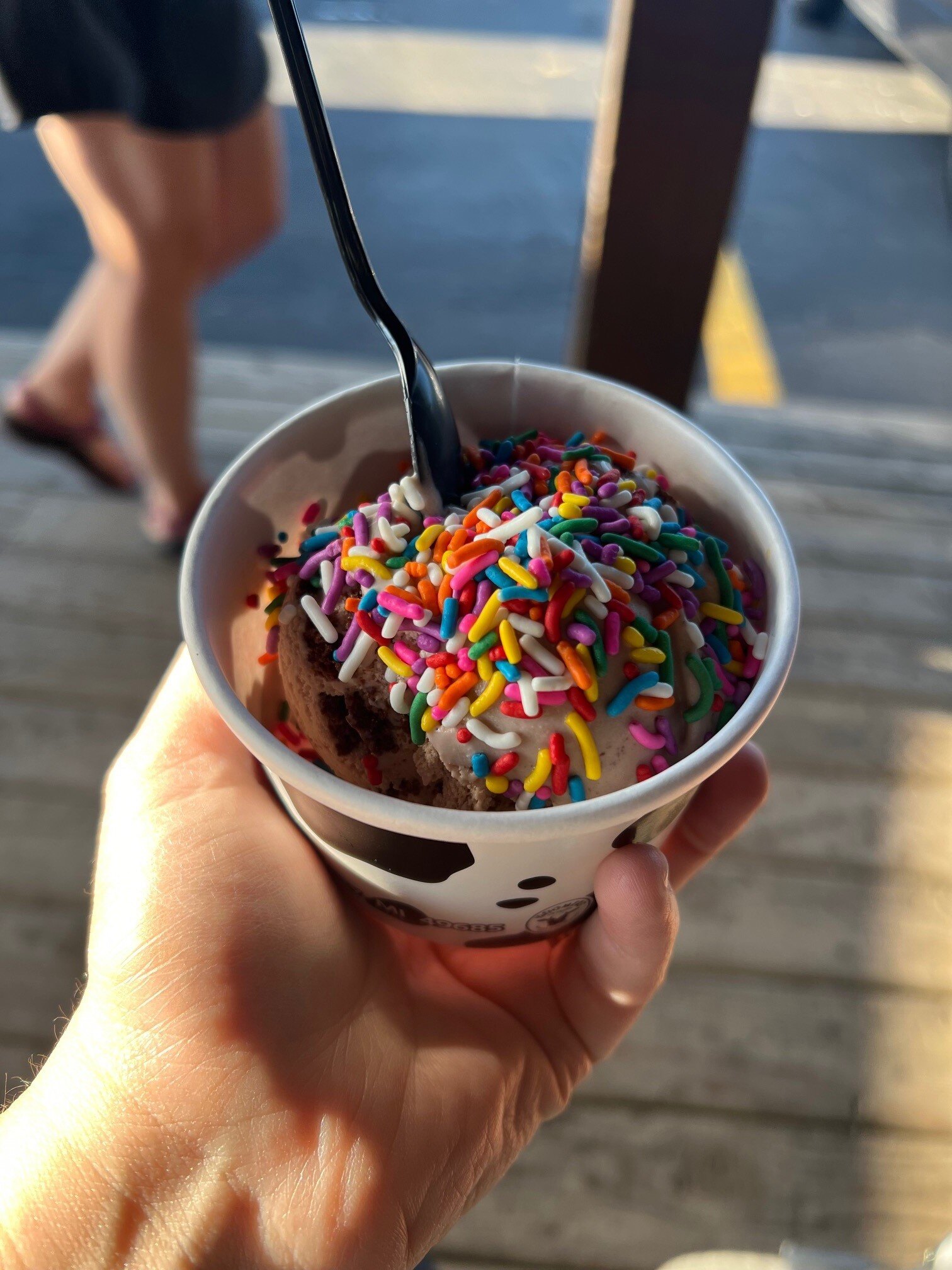 Traverse City ice cream