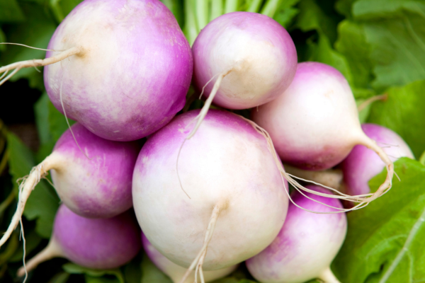 Turnips