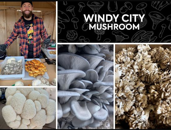 Windy City Mushroom
