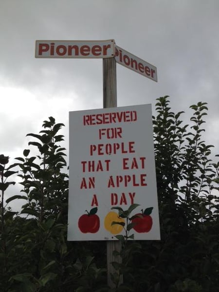 apple sign