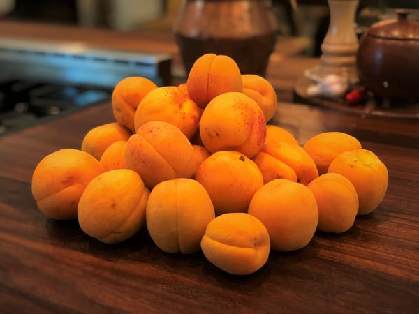 apricots-1
