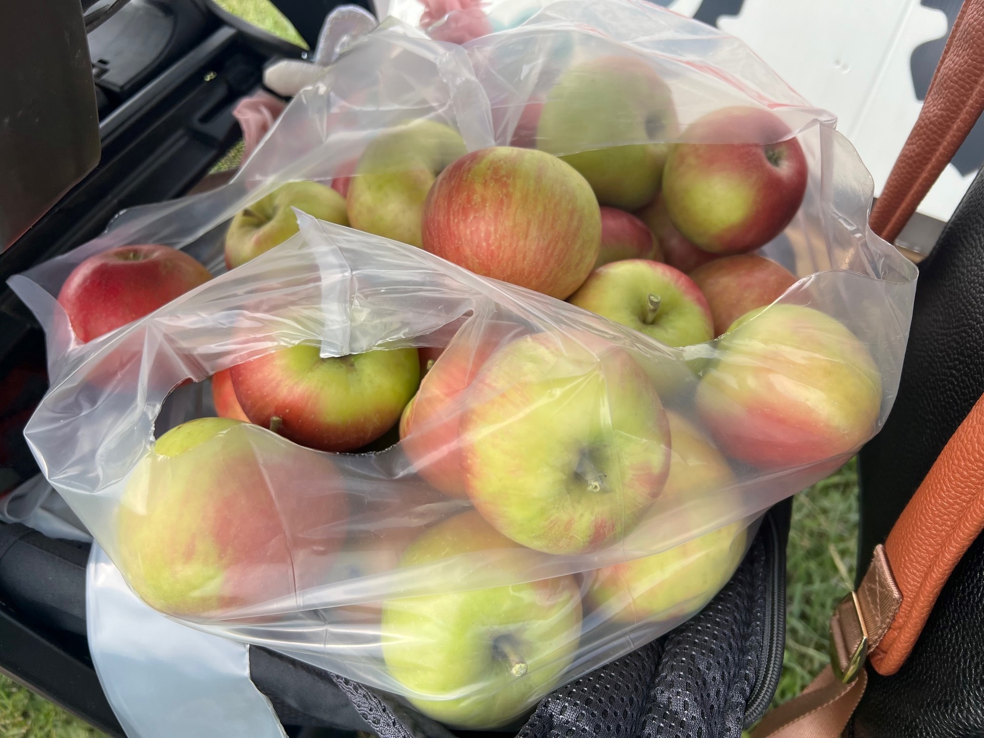bags of apples