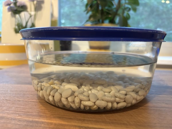 Beans soaking