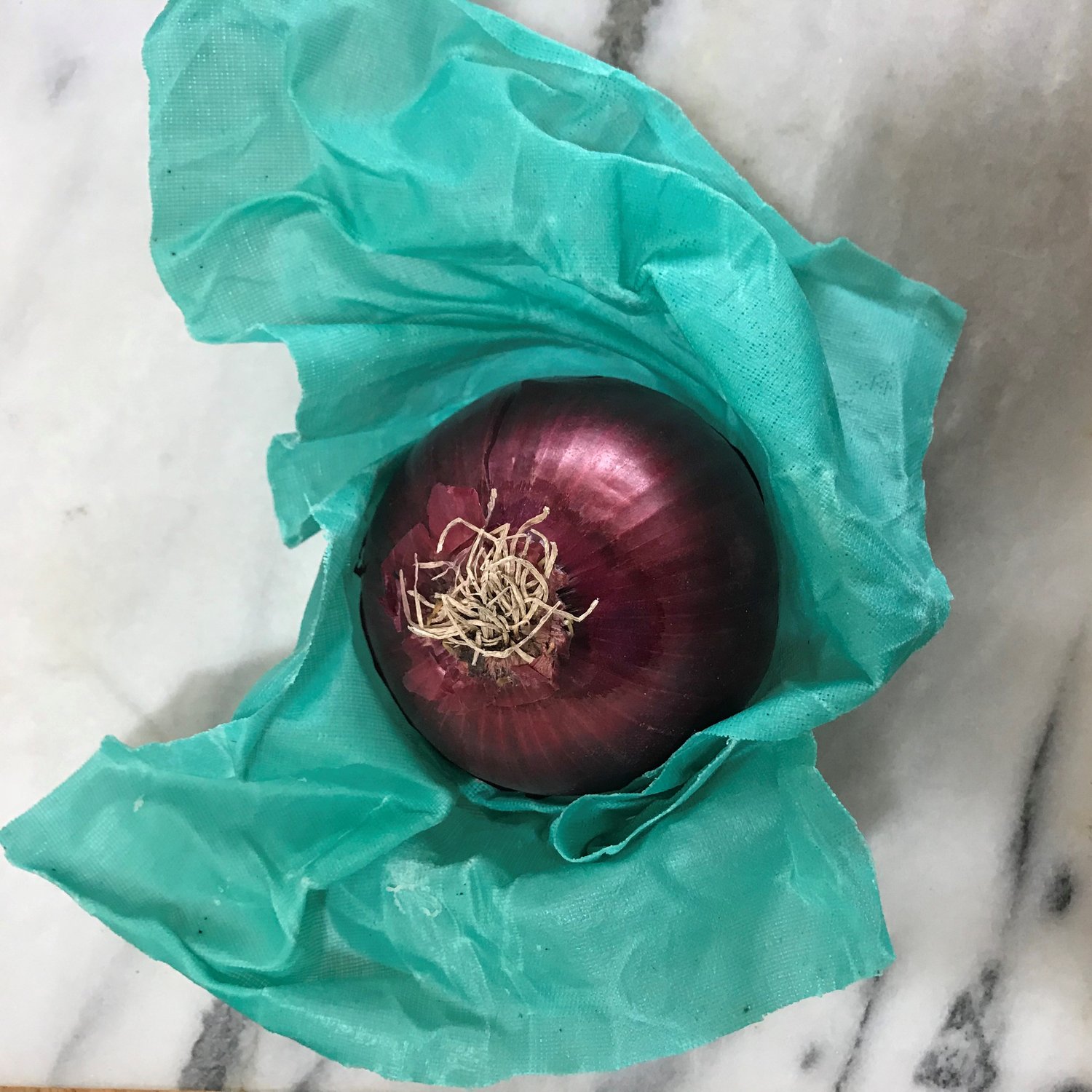 Make Reusable Beeswax Cloths for your Kitchen