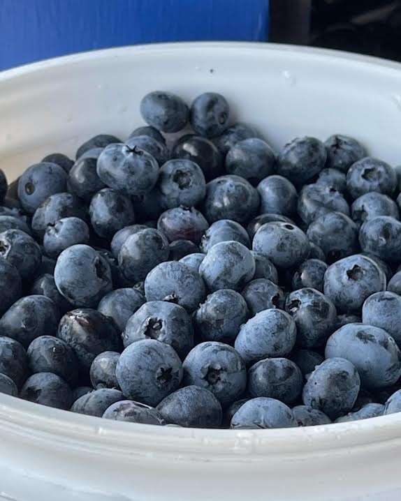 Pick a Peck of Quick Pickled Blueberries