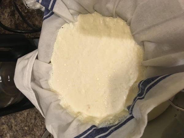 cheese strain