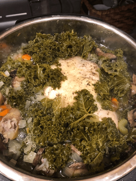 chicken soup instant pot
