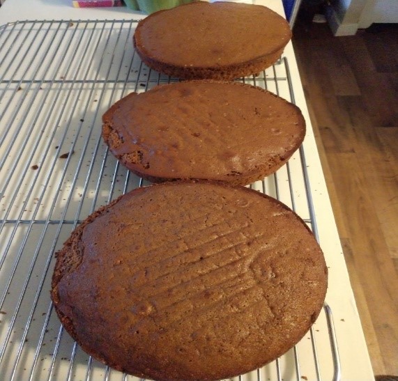 chocolatecooledcakes
