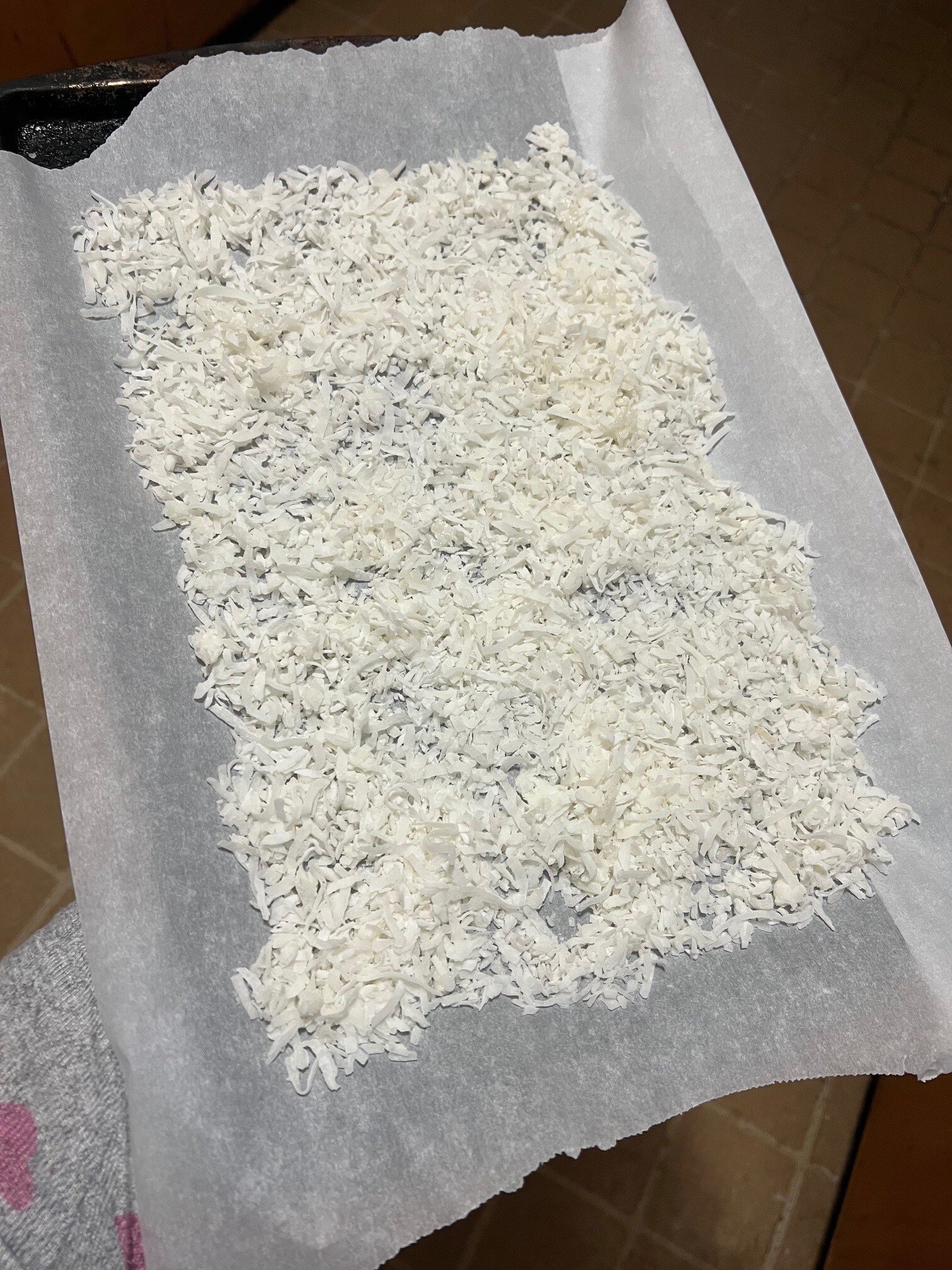 Coconut before toasting