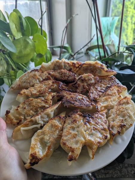 Cooked Potstickers