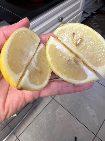 cut lemon-1