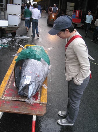 Nolan's wife and tuna