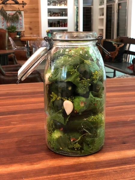 dill pickles jarred