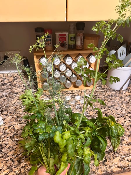 Combination herb harvest