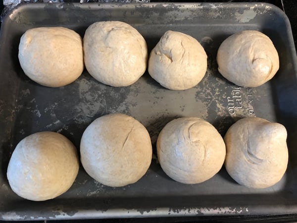 dough after overnight