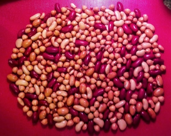 drybeans