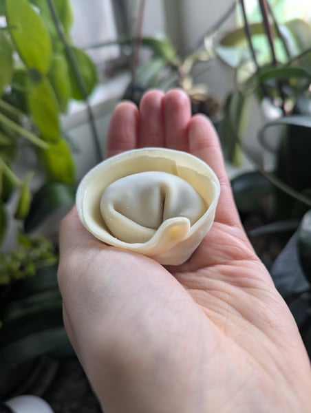 Dumpling