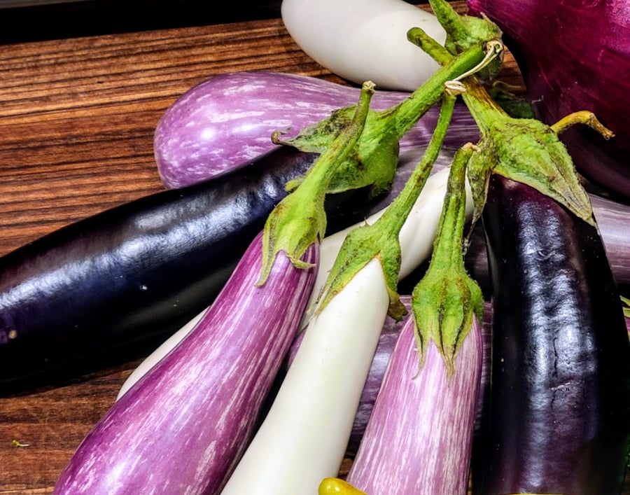 Easy Eggplant Involtini