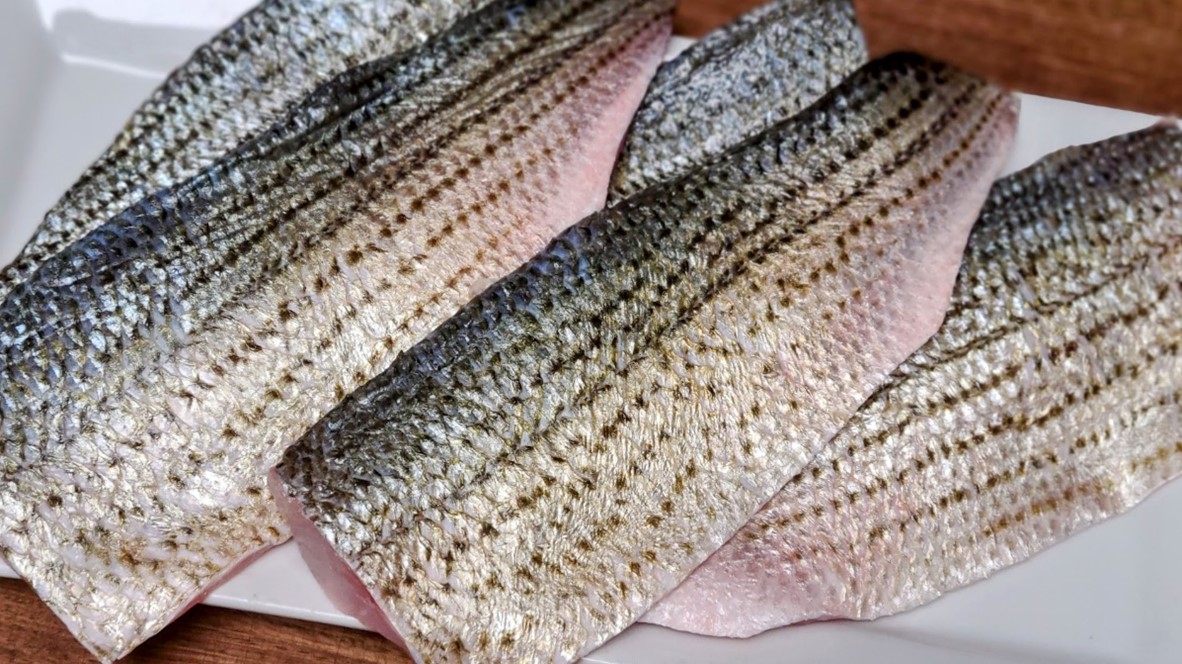 fish-Sep-29-2023-06-51-08-9957-PM