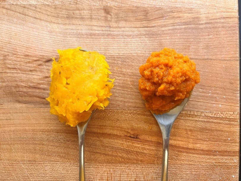 Fresh vs canned pumpkin