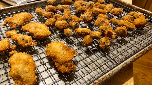 fried oysters draining