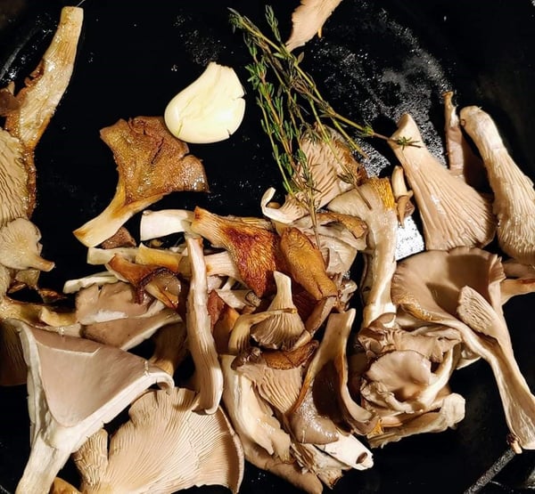 garlic herbs mushrooms