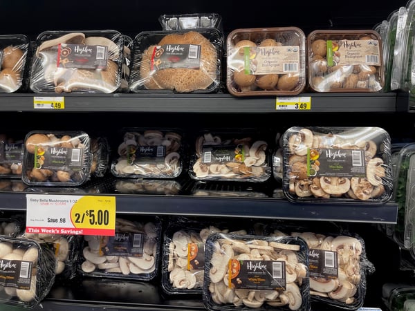grocery store mushrooms
