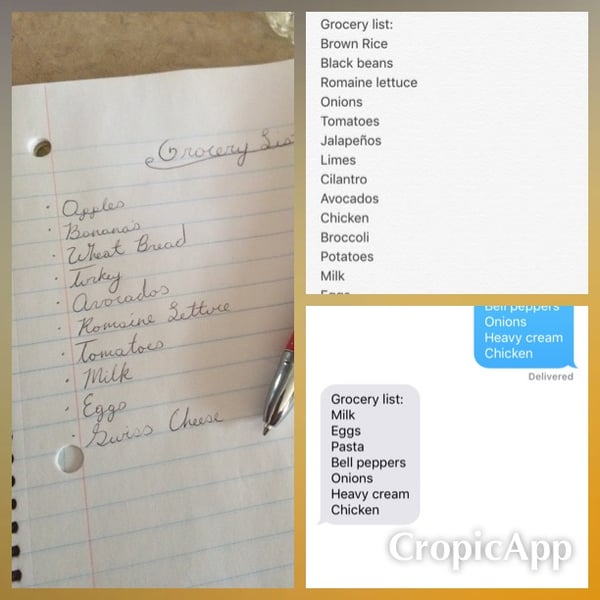 grocery lists grocery lists