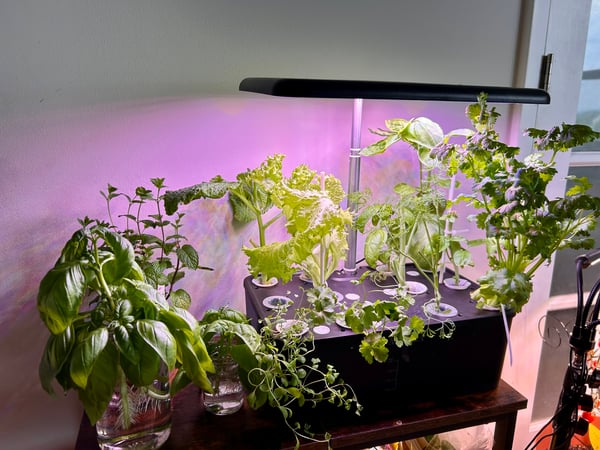 Hydroponic grow system