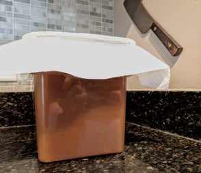 kombucha ferments