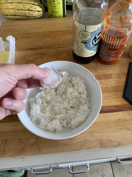 Leftover rice
